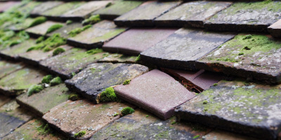 Llandyfan roof repair costs